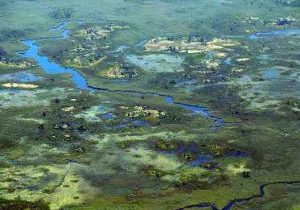 Chobe Okavango Delta Victoria Falls Fly-in Safari